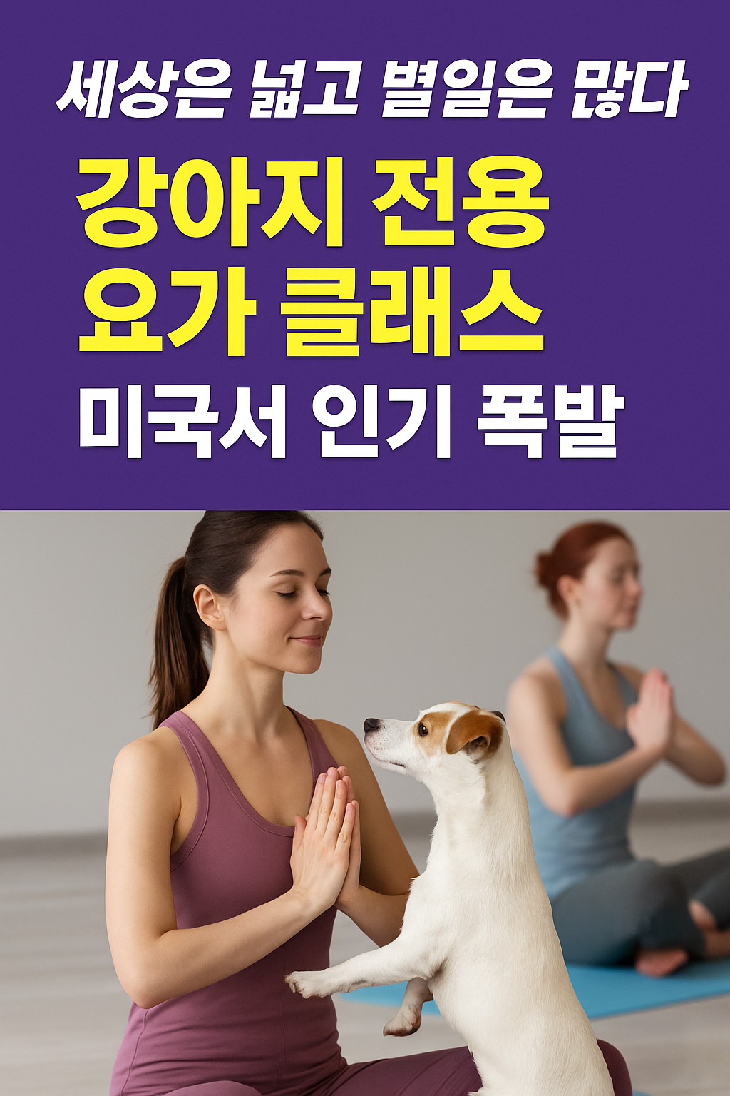 강아지 전용요가