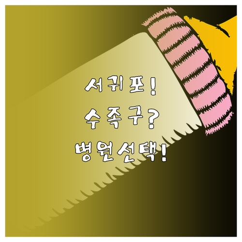 제주 서귀포 아이 수족구 치료 병원 ..