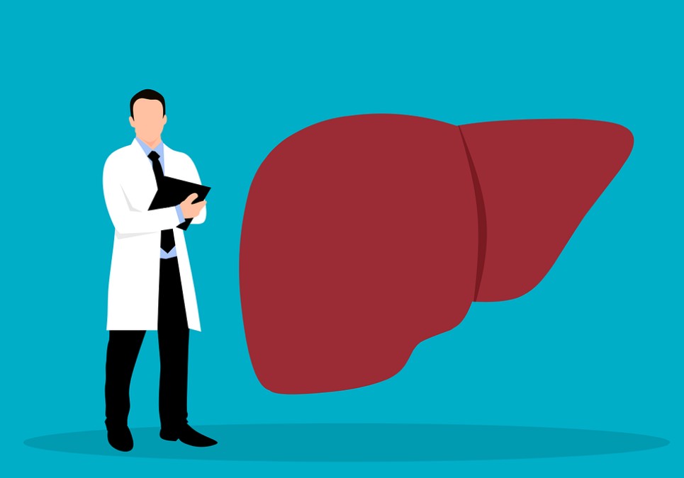 [간건강] 간수치가 높은이유&#44; 간이 안좋을때 증상&#44; 간에 좋은 음식&#44; 간에 좋은 영양제