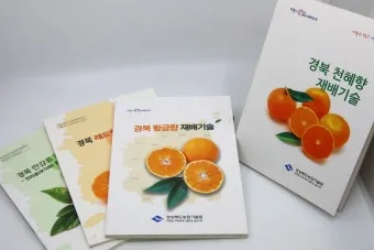 황금향 재배 개화기 관리 수분 수정 과실 비대_12