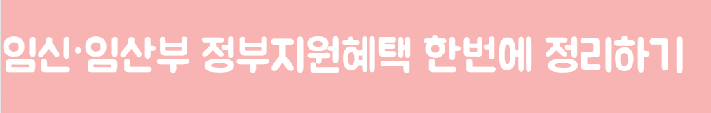 임신,임산부-정부지원혜택-한번에정리하기