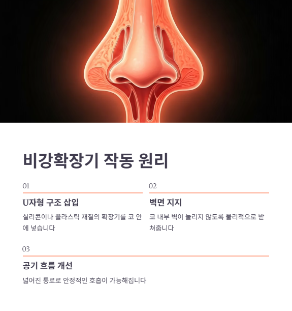 비강확장기의 작동 원리