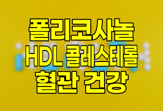 폴리코사놀, 좋은 콜레스테롤(HDL) 증가 및 뇌혈관 건강 개선