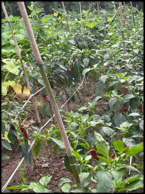 목포에서 행복한 하루