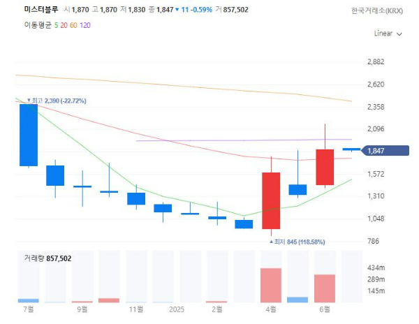 도서관련주대장주수혜주TOP5_미스터블루
