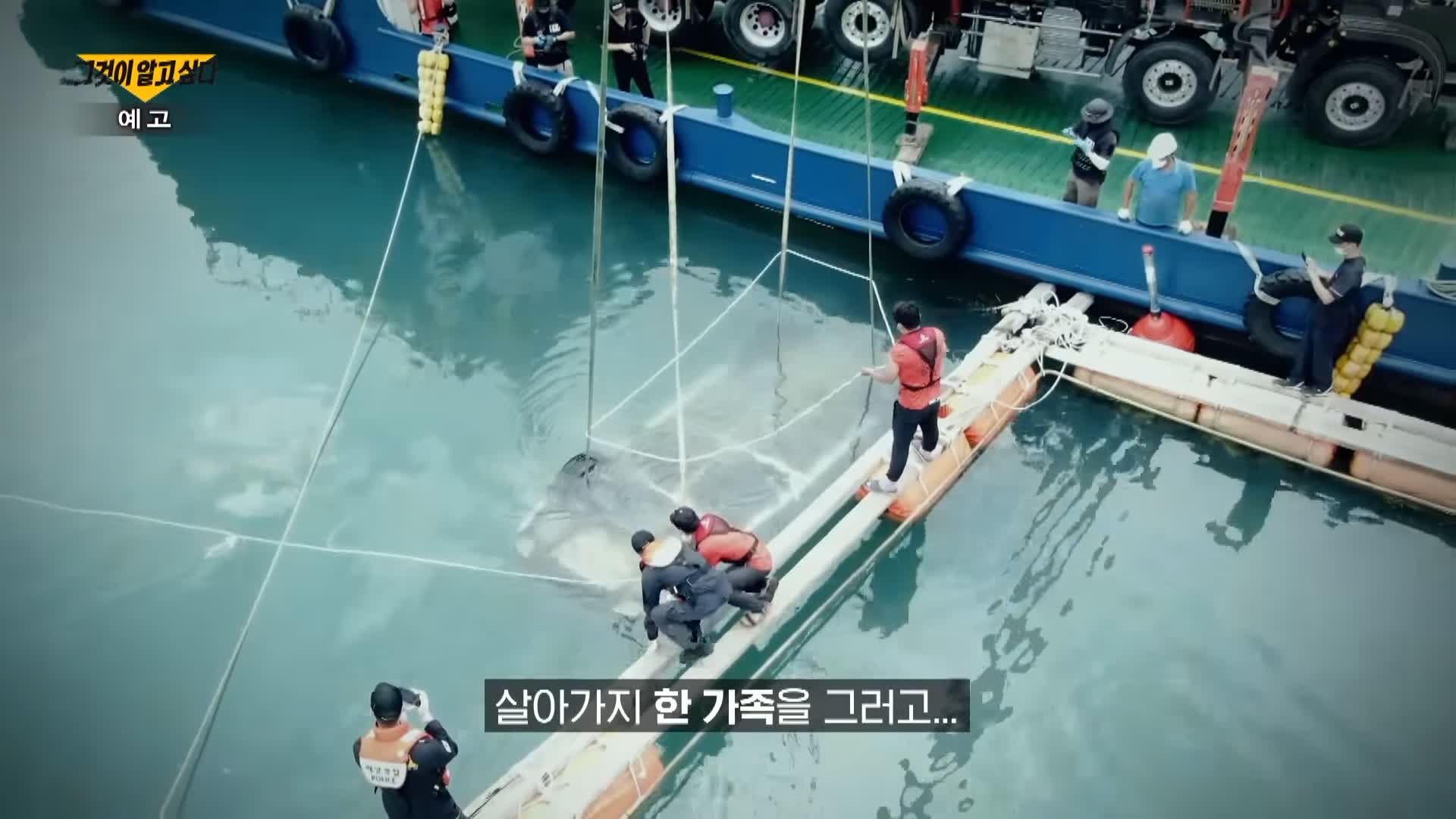 그알 그것이알고싶다 명백한 살인범죄 자식 목숨 빼앗는 부모 완도 일가족 실종 루나코인 부모 자녀 동반자살 사건 1317회