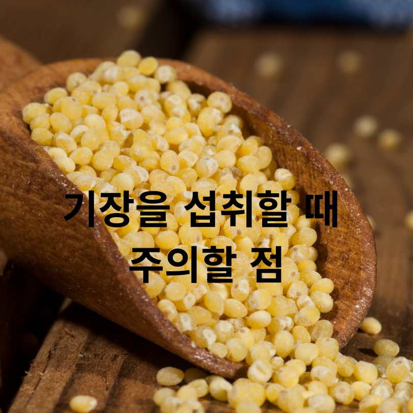 기장 속 밀리아신 효능 완벽 분석