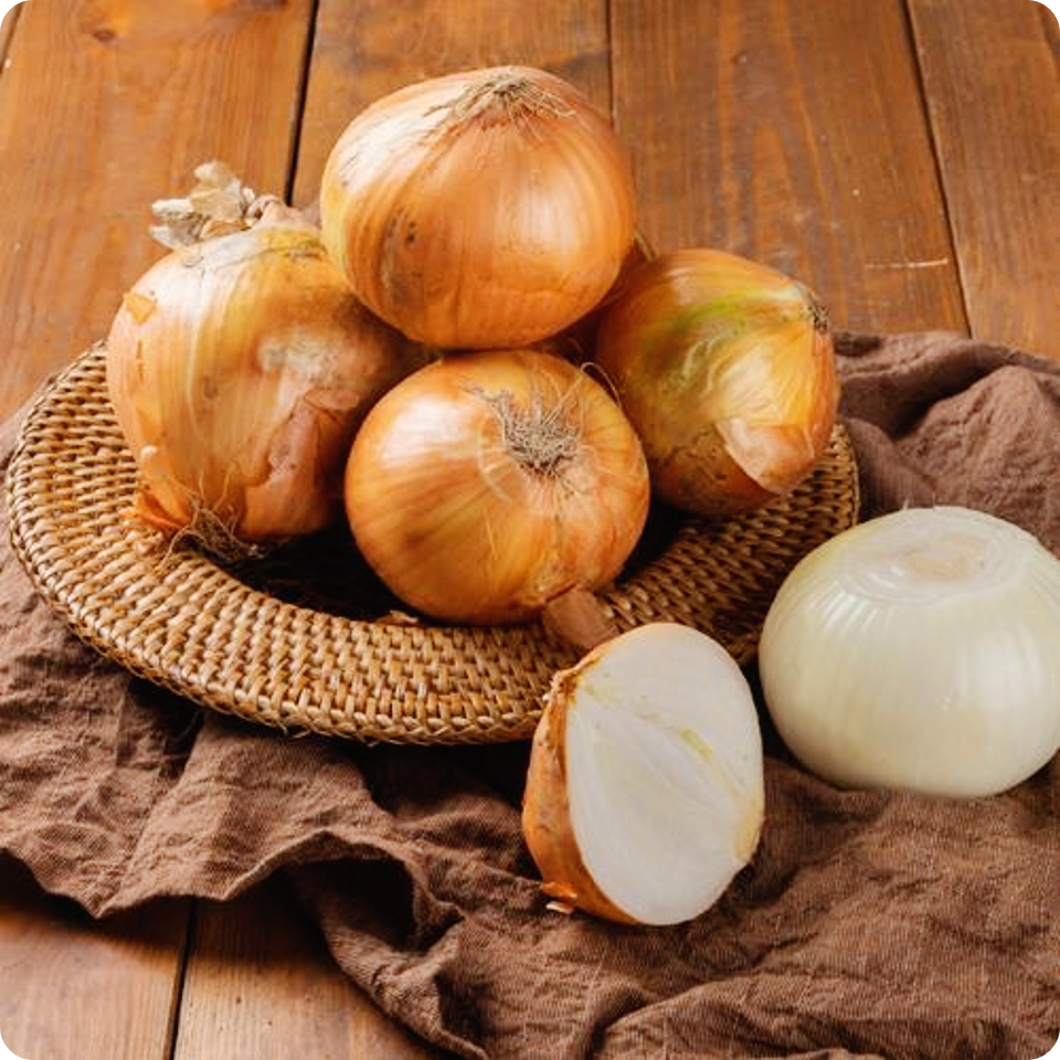 양파-효능