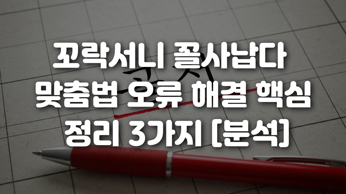 꼬락서니 꼴사납다 맞춤법 오류 해결 핵심 정리 3가지 분석