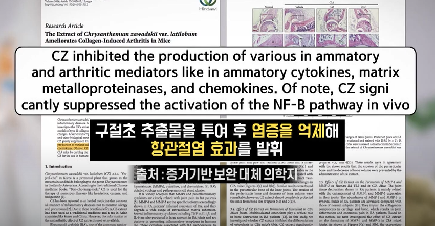 구절초 효능
