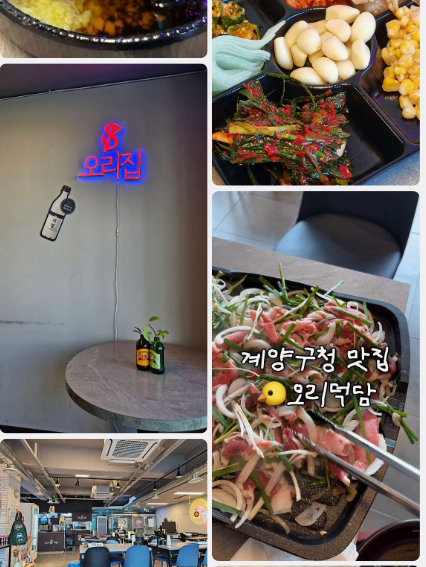 2TV생생정보계양구오리대패요리맛집오리덕담