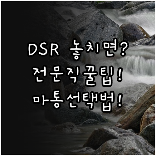 2026년 DSR 규제 대비 전문직 ..
