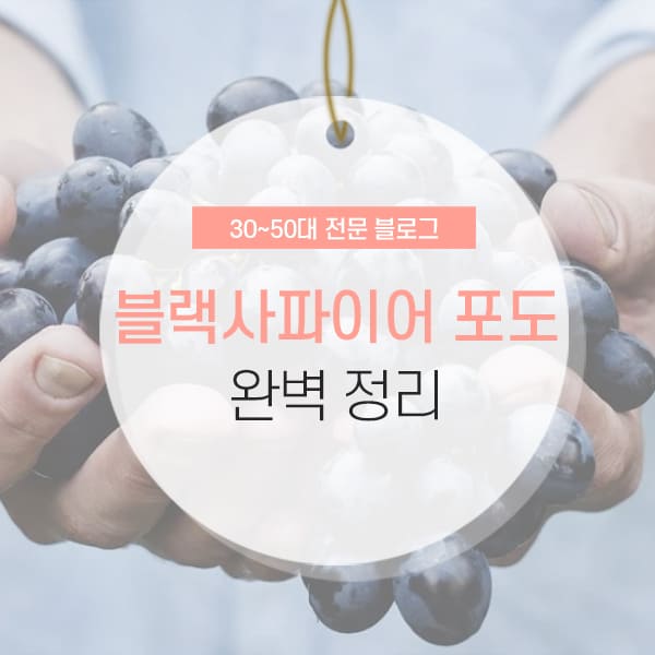 블랙사파이어 포도 효능 및 씻는법 소개 컨텐츠