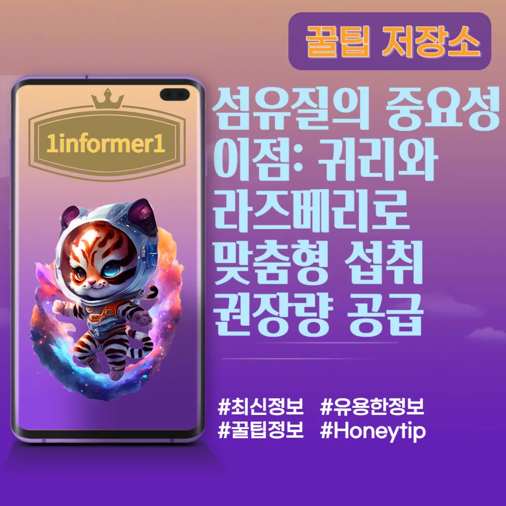 섬유질