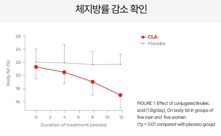 푸응팻버닝-효과-효능