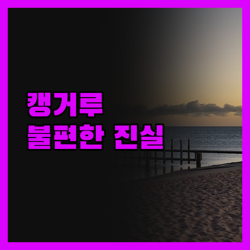 메리 비치 카라반 파크, 캥거루와 함