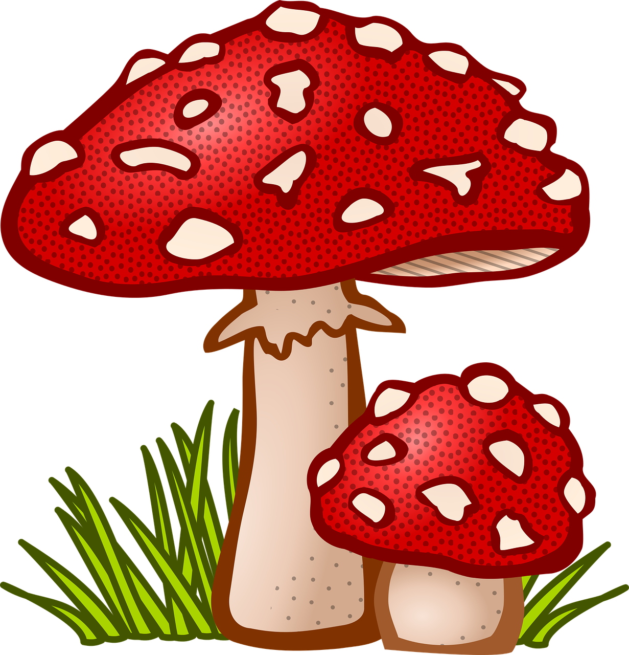 가을 제철 음식의 맛과 건강을 담은 특별한 이야기