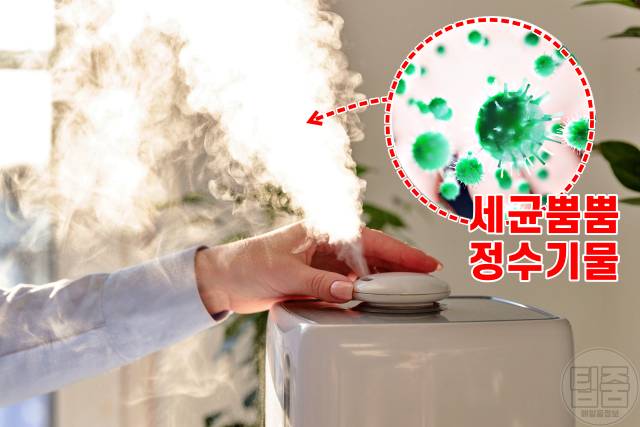 가습기 수돗물 미세먼지,가습기 정수기물 세균,팁줌