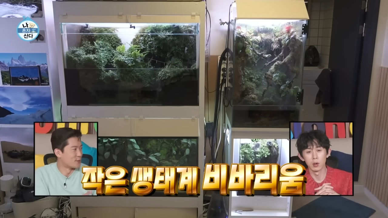 비바리움 김대호 아나운서