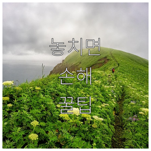 현대카드로 건강보험료 납부 핵심: 수..