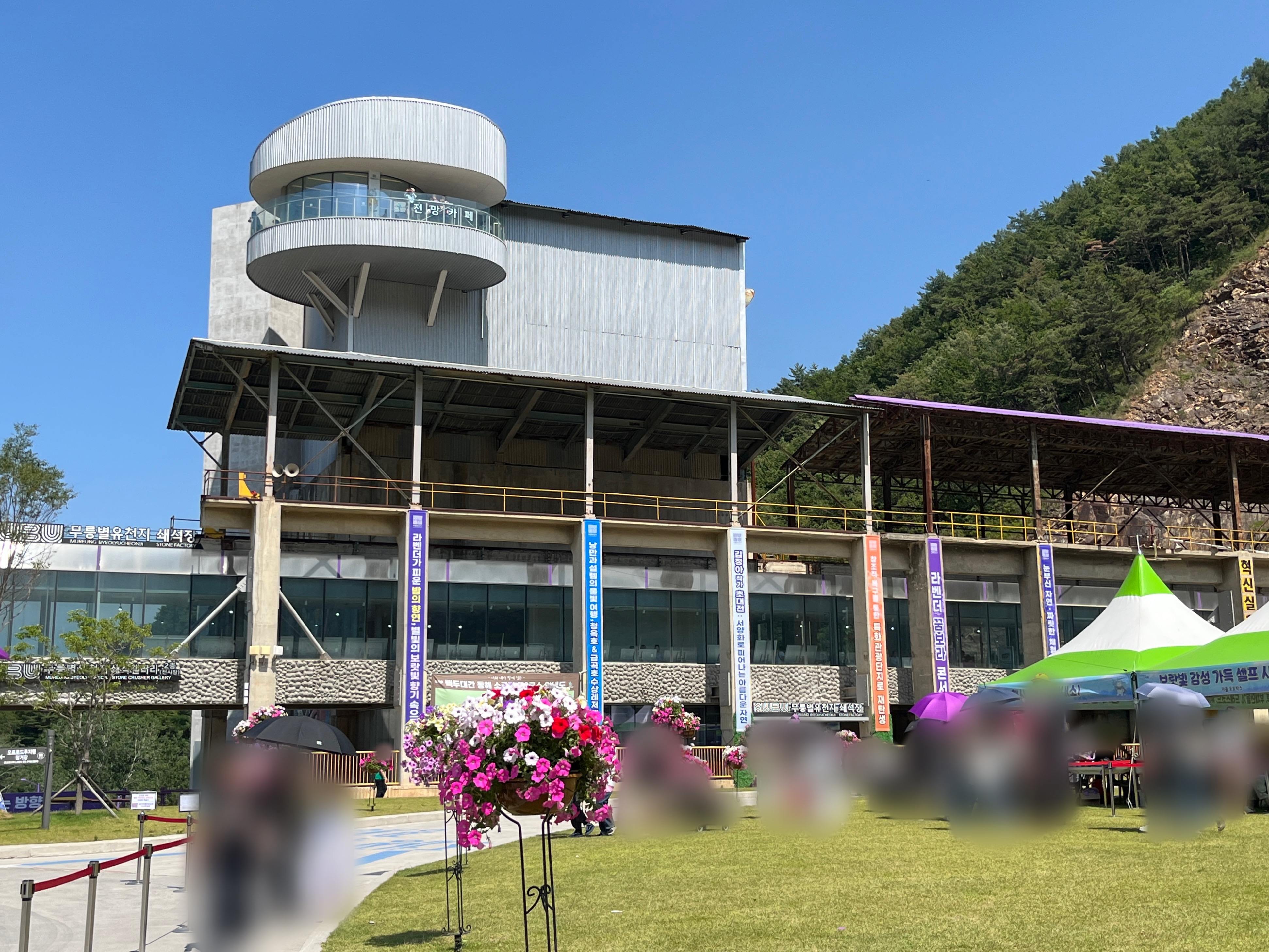 무릉별유천지 라벤더