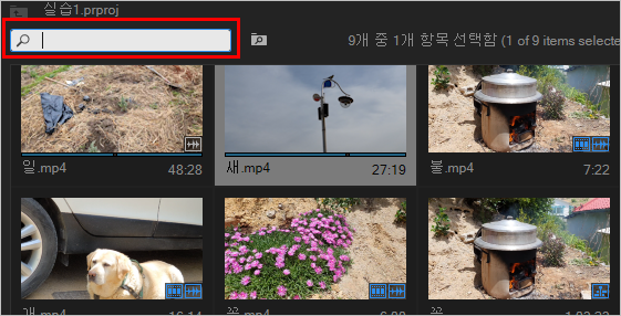 파일 검색