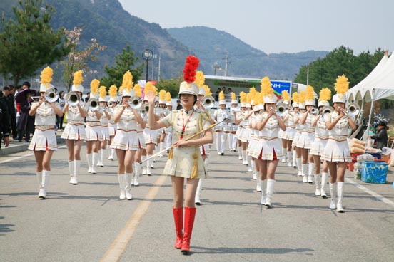 삼척 맹방 유채꽃축제