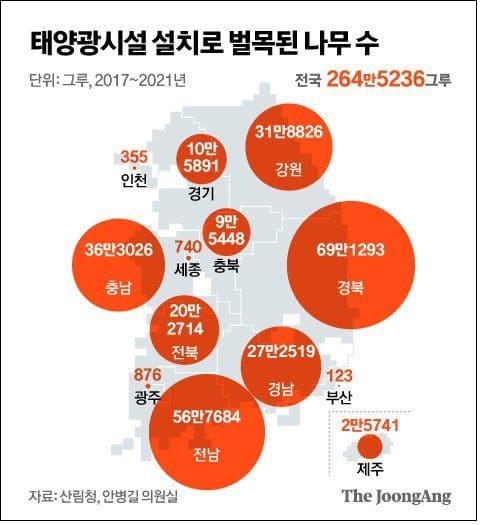 뭉텅뭉텅나무 265만그루 잘려나갔다