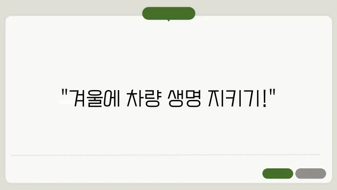겨울철 차량관리: 지하주차, 배터리, 연료필터 점검