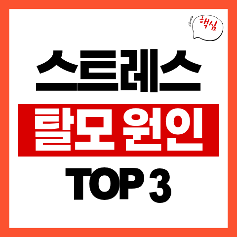 스트레스 탈모 원인