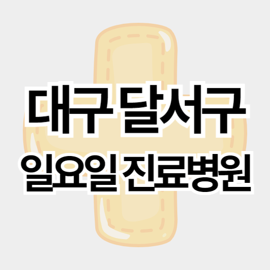 대구달서구_일요일진료병원_썸네일