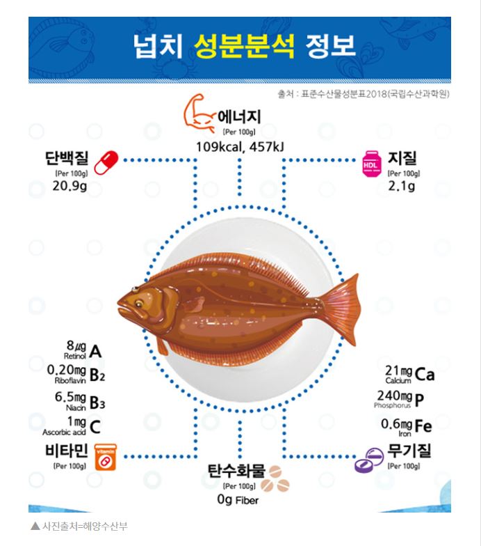 넙치 성분 분석