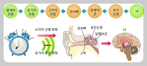 소리의 전달 원리