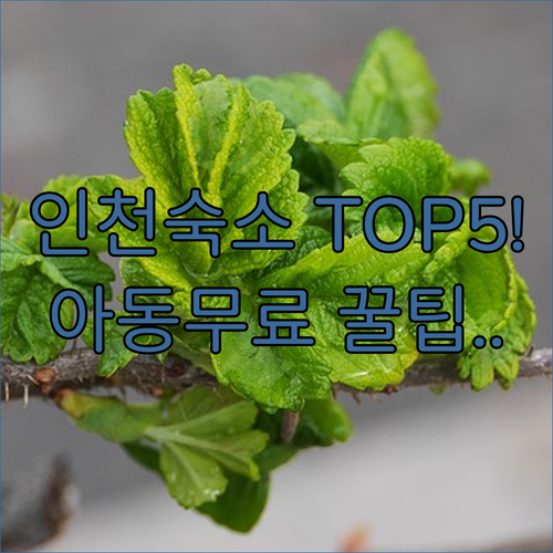 인천 숙소 베스트 5 호텔 월 레스티..
