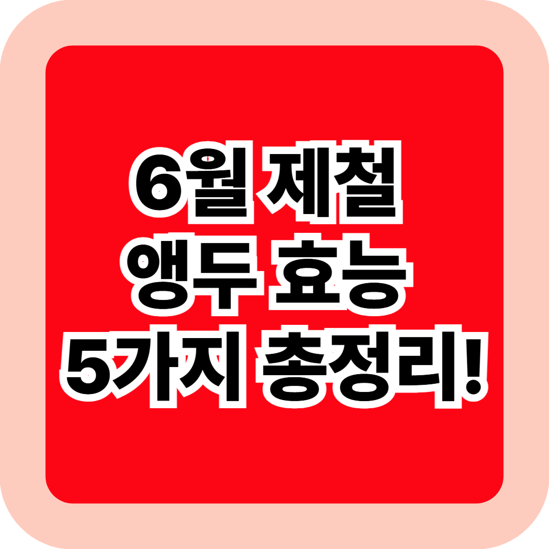 6월 제철 앵두 효능 5가지 총정리! 지금 먹어야 할 여름 건강 과일