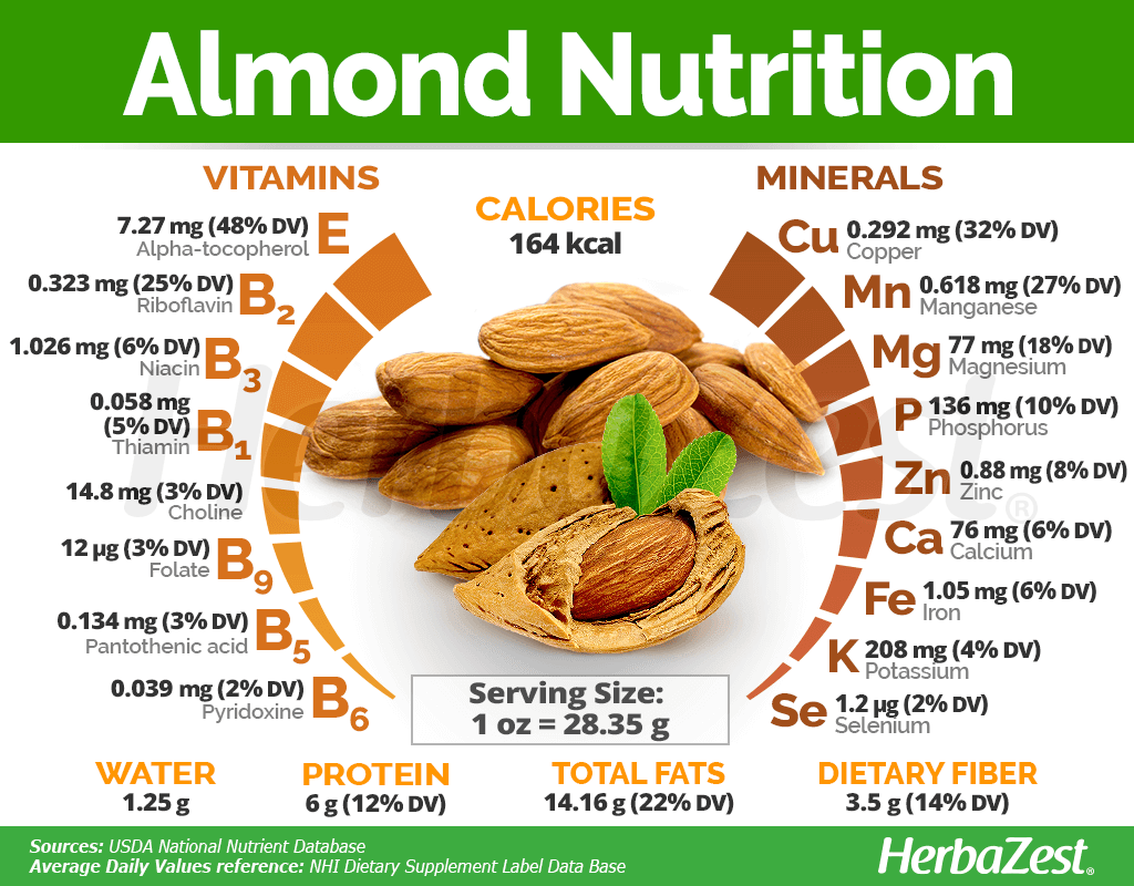 아몬드 영양 성분 인포그래픽