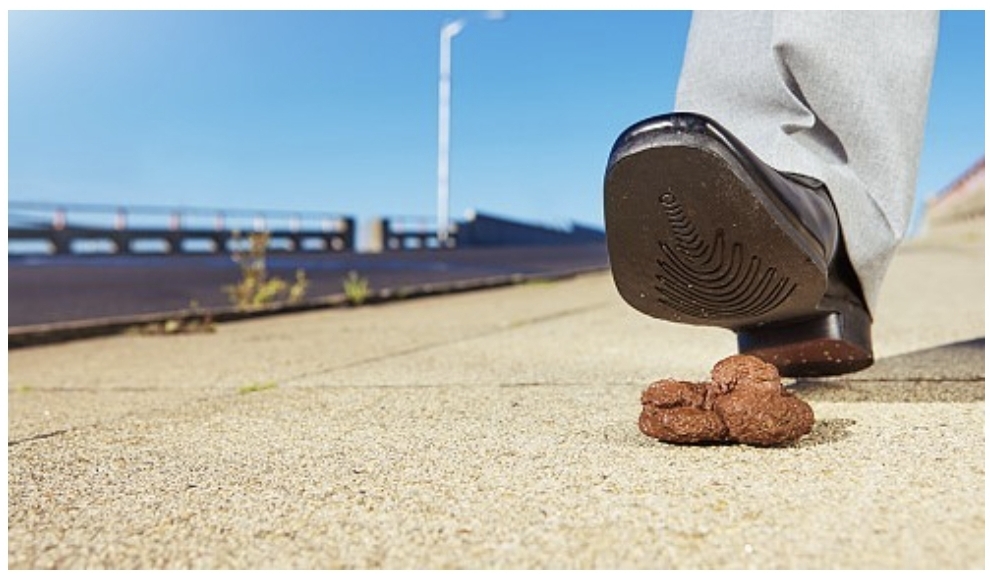 똥을 밟고 있다