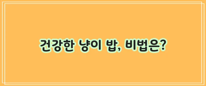 고양이 건강 식이를 위한 식사 습관 개선 팁을 알아보자!