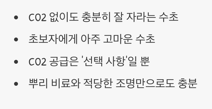 이산화탄소(CO2), 없어도 괜찮을까?