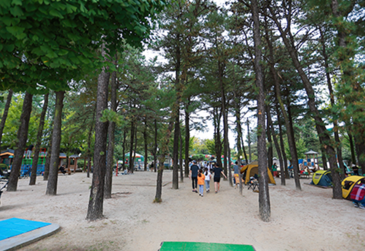 춘천 육림랜드
