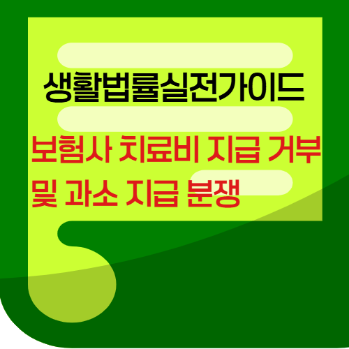 보험사 치료비 지급거부및 과소지급분쟁