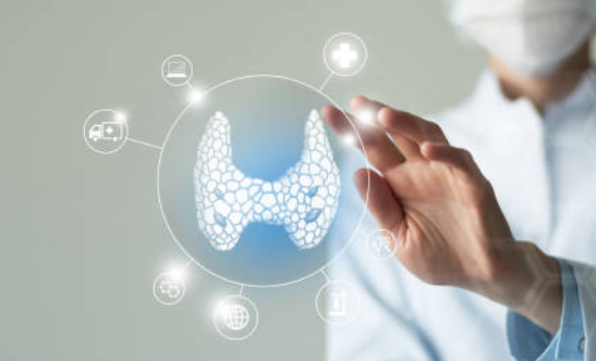 갑상선 기능 저하증 증상, 좋은음식, 수치 총정리 (2024ver)