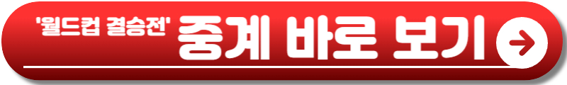 월드컵 결승전