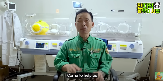 푸바오 생일잔치 판다 번식기