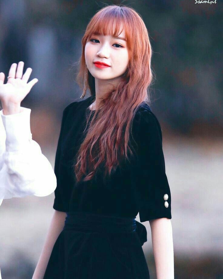 김채원 사진 모음 김채원 사진 모음