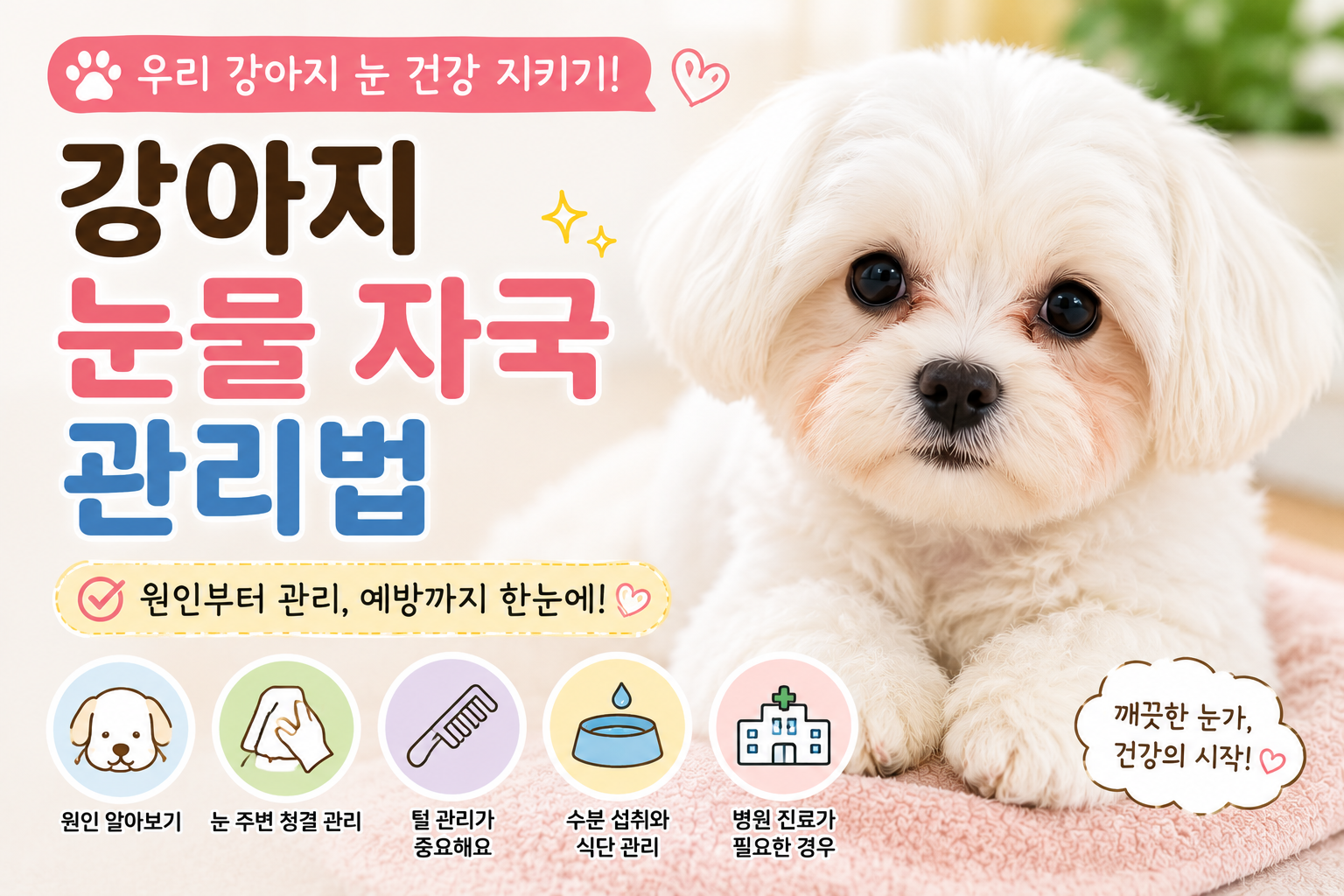 강아지 눈물 자국 관리법