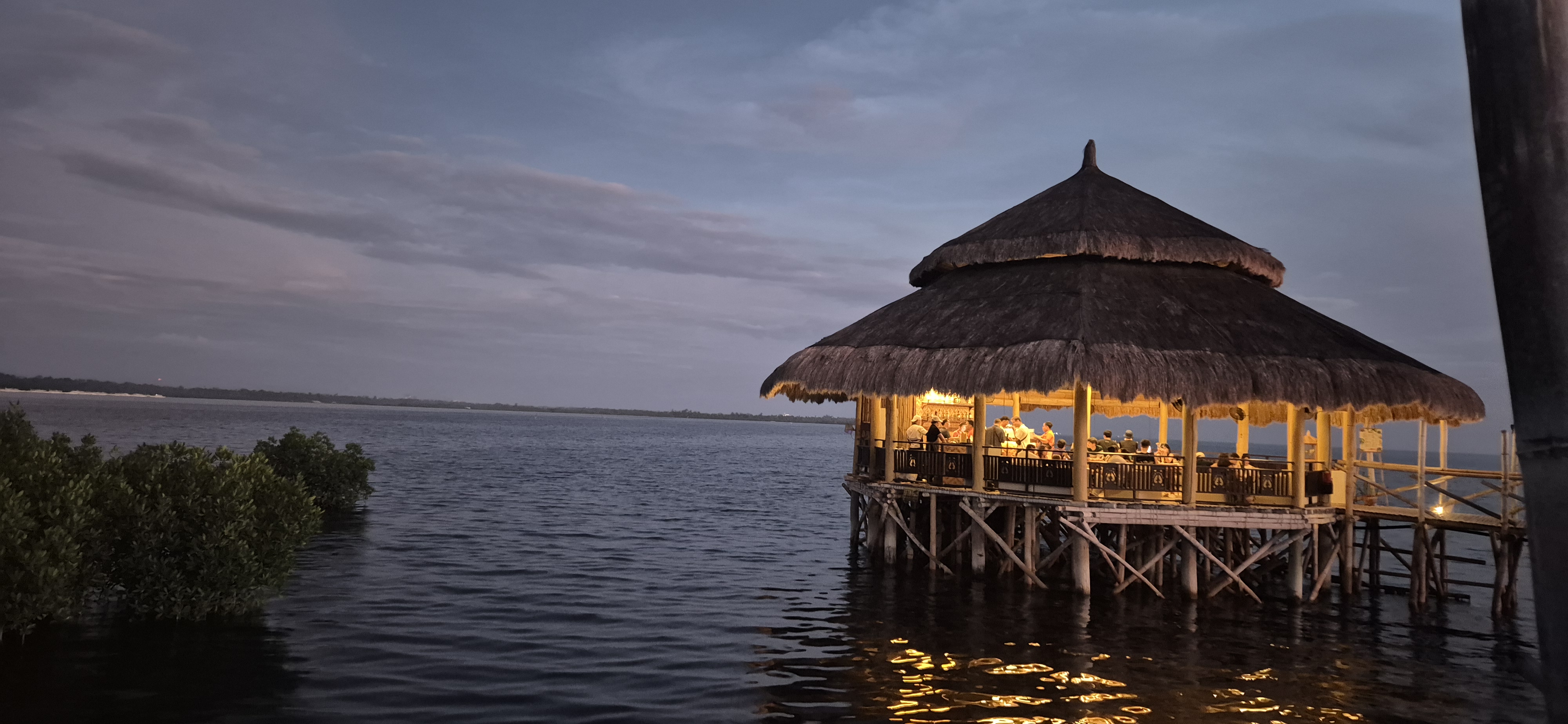 노스젠 브릿지 카페