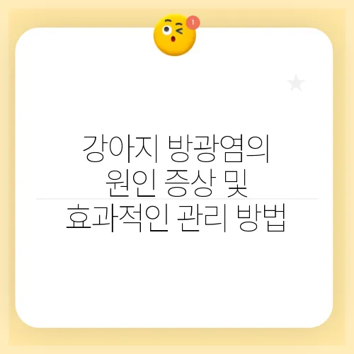 강아지 방광염의 원인 증상 및 효과적인 관리 방법
