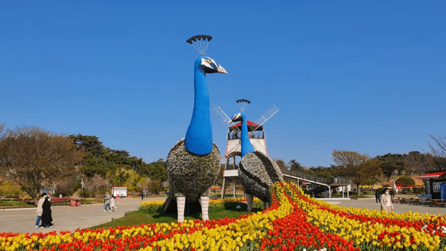 태안 가볼만한 곳