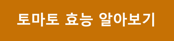 토마토효능